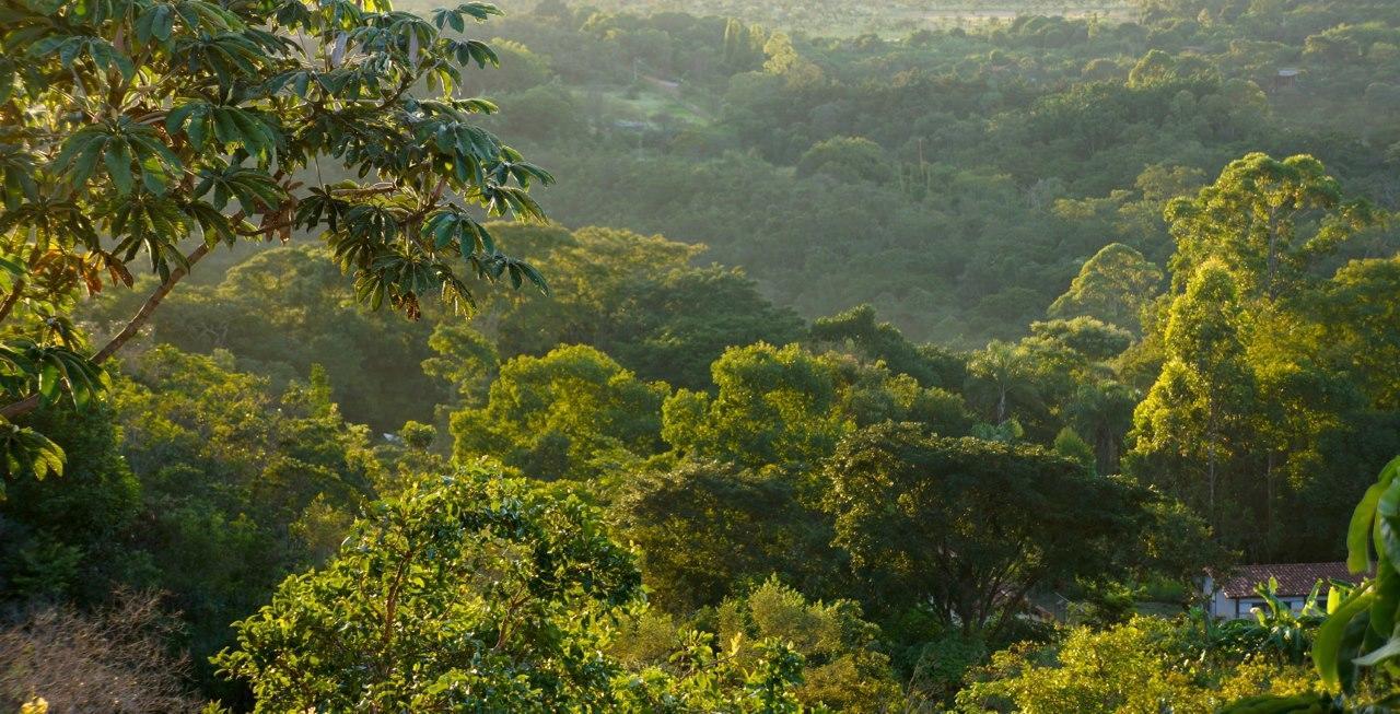 Cerrado Lodge บราซิเลีย ภายนอก รูปภาพ